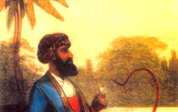 A man in red shirt, blue robe and coloured turban sitting on a mat looking in distance, and a palm tree in the background with a sunset scenery