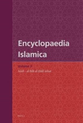 Front cover for Encyclopaedia Islamica, Volume 3