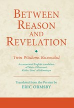 Front cover for Between Reason and Revelation}