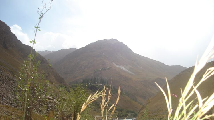 Celebrating Indigenous Languages – Defending Endangered Languages