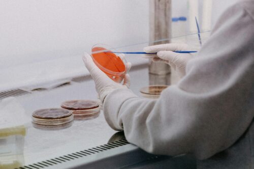 Laboratory of the Faculty of Health and Social Work of the Trnava University