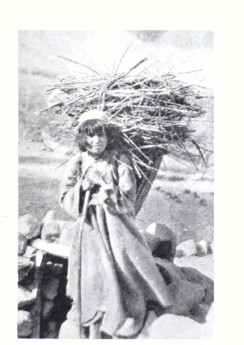 ‘Little Hunza Girl with a grain—a willow back basket full of twigs and sticks’