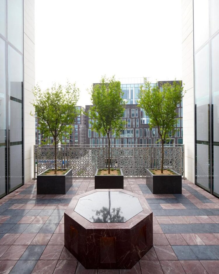 a group of trees on a patio