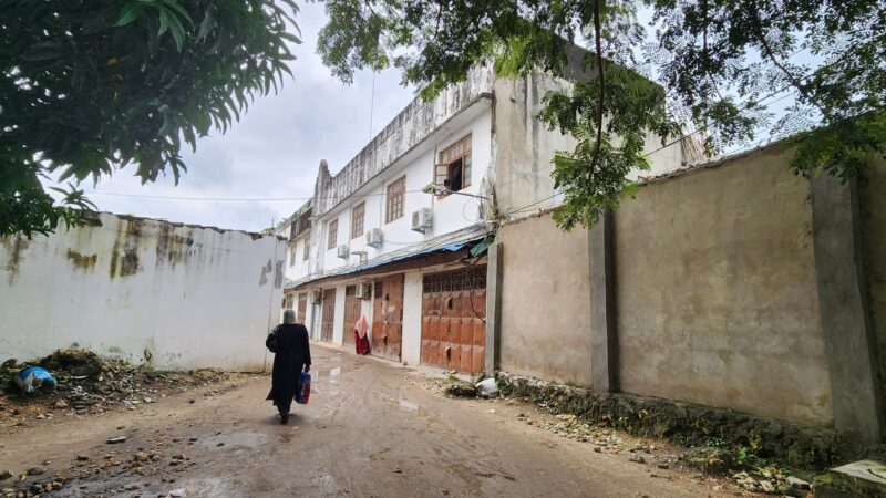 A woman walking on a quiet street with buildings and trees around.